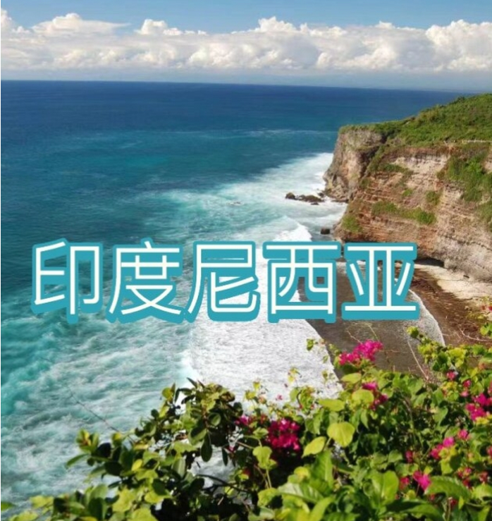 中国国际电商(印尼)产业博览会不朽情缘游戏网站登录2025(图3) 中国国际电商(印尼)产业博览会不朽情缘游戏网站登录2025(图3)