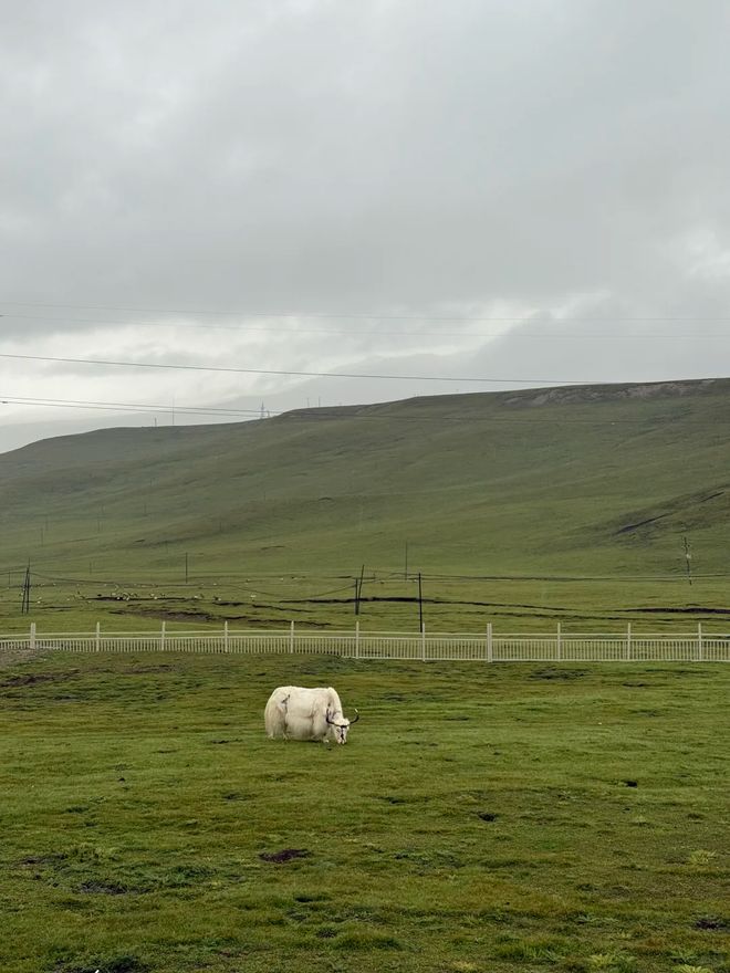 这份甘青大环线最佳路线图与深度旅游攻略不朽情缘模拟器青甘大环线怎么玩?收藏(图2) 这份甘青大环线最佳路线图与深度旅游攻略不朽情缘模拟器青甘大环线怎么玩?收藏(图2)